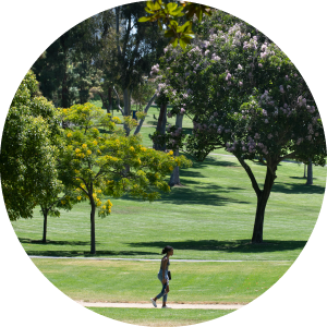 UCI student walking through Aldrich park